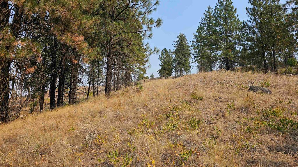 5884 H Coyote Canyon Rd, Fruitland, WA 99129 photo 8