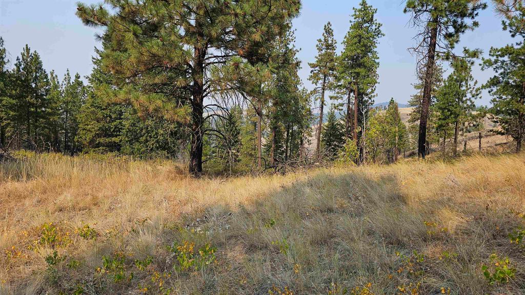 5884 H Coyote Canyon Rd, Fruitland, WA 99129 photo 9