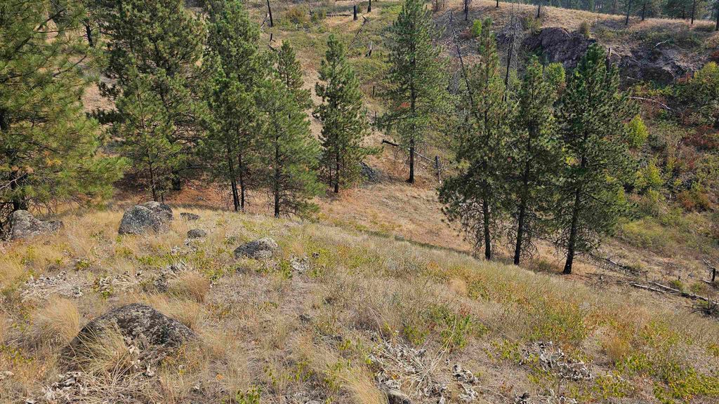 5884 H Coyote Canyon Rd, Fruitland, WA 99129 photo 10