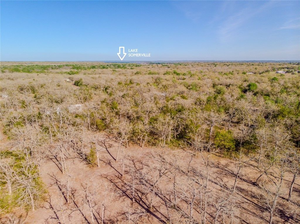 Lots 211 & 212 Forest Oak Drive, Somerville, TX 77879 — photo 5