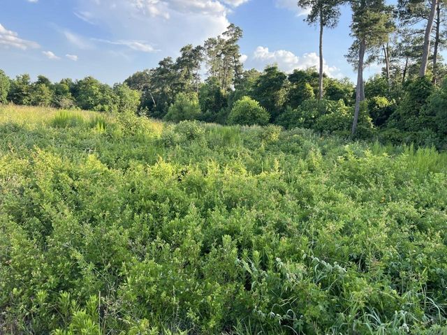 0 Sh 249, Tomball, TX 77375
