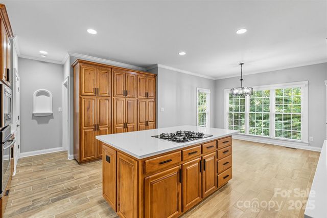 11139 Tradition View Drive, Charlotte, NC 28269