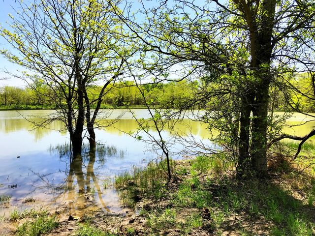 0000 PR 234, Hillsboro, TX 76645