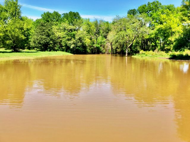 0000 PR 234, Hillsboro, TX 76645