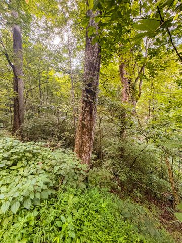 0 Holiday Haven Rd, Smithville, TN 37166