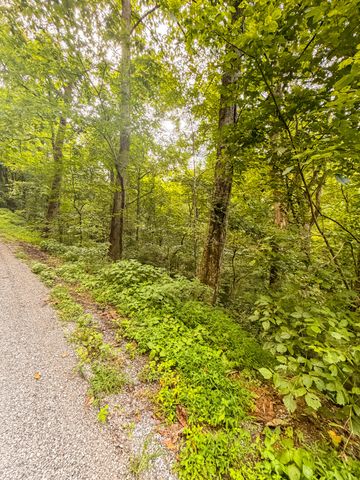 0 Holiday Haven Rd, Smithville, TN 37166