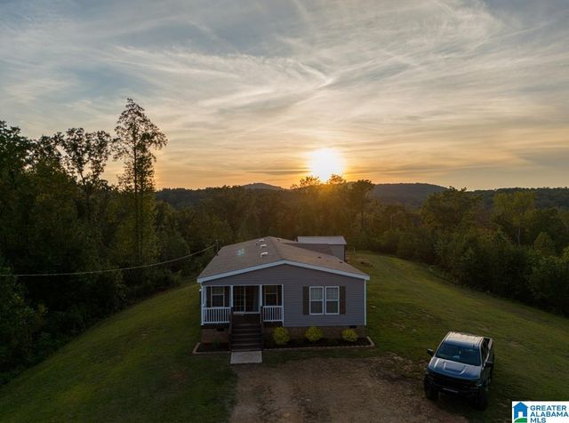 28 COUNTY ROAD 63, Ranburne, AL 36273