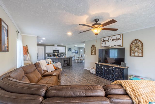 28 COUNTY ROAD 63, Ranburne, AL 36273