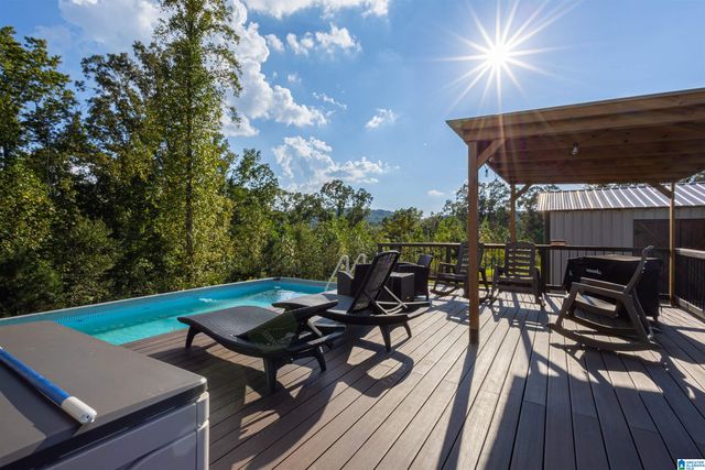 28 COUNTY ROAD 63, Ranburne, AL 36273