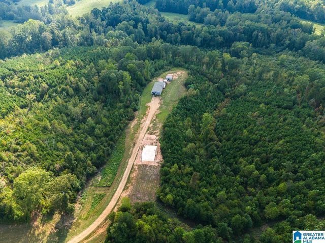 28 COUNTY ROAD 63, Ranburne, AL 36273