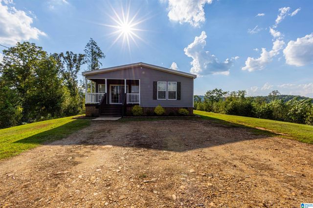 28 COUNTY ROAD 63, Ranburne, AL 36273