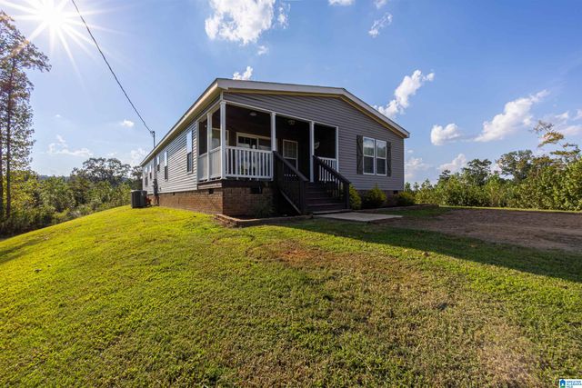 28 COUNTY ROAD 63, Ranburne, AL 36273