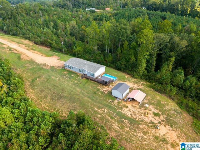 28 COUNTY ROAD 63, Ranburne, AL 36273