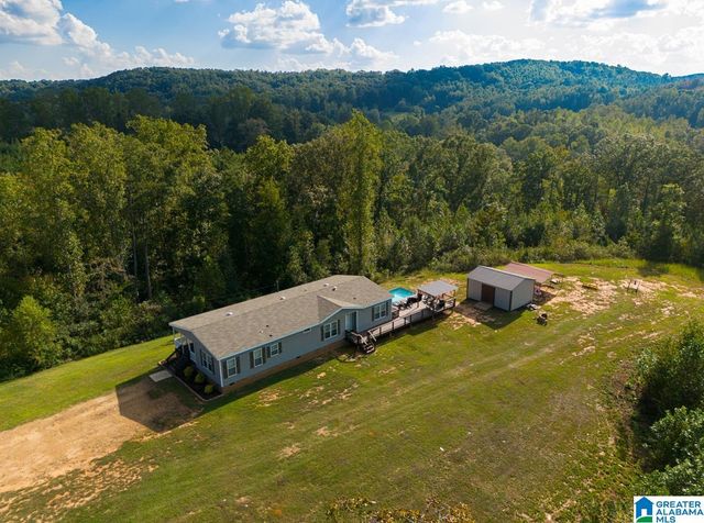 28 COUNTY ROAD 63, Ranburne, AL 36273