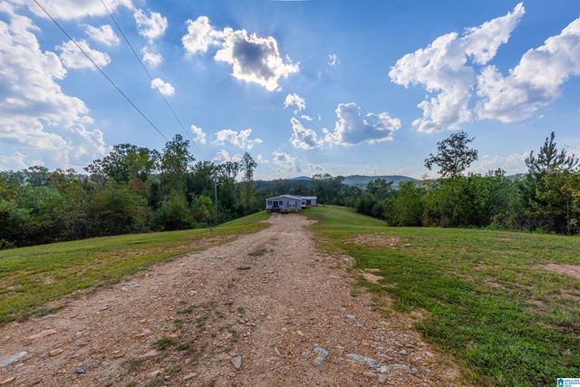 28 COUNTY ROAD 63, Ranburne, AL 36273