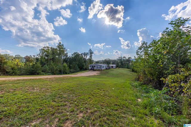 28 COUNTY ROAD 63, Ranburne, AL 36273