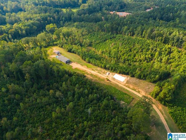 28 COUNTY ROAD 63, Ranburne, AL 36273