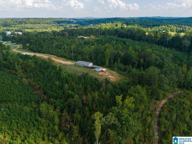 28 COUNTY ROAD 63, Ranburne, AL 36273