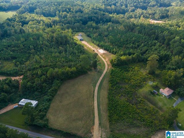 28 COUNTY ROAD 63, Ranburne, AL 36273