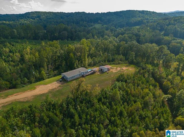 28 COUNTY ROAD 63, Ranburne, AL 36273