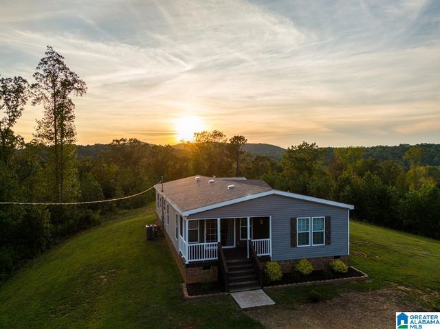 28 COUNTY ROAD 63, Ranburne, AL 36273