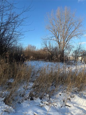 Sublot 41 Charles, Clinton Charter Township, MI 48035