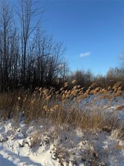 Sublot 41 Charles, Clinton Charter Township, MI 48035