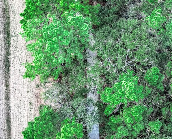 17743 Misty Brook Lane Lane, Conroe, TX 77302