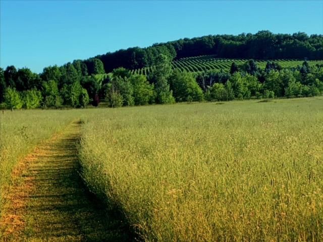 3362 S French Road, Centerville Twp, MI 49621