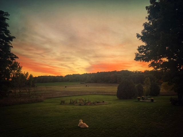 3362 S French Road, Centerville Twp, MI 49621