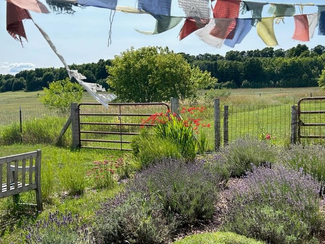 3362 S French Road, Centerville Twp, MI 49621