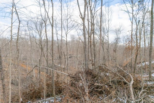 0 Hutchins Bend Rd, Sparta, TN 38583