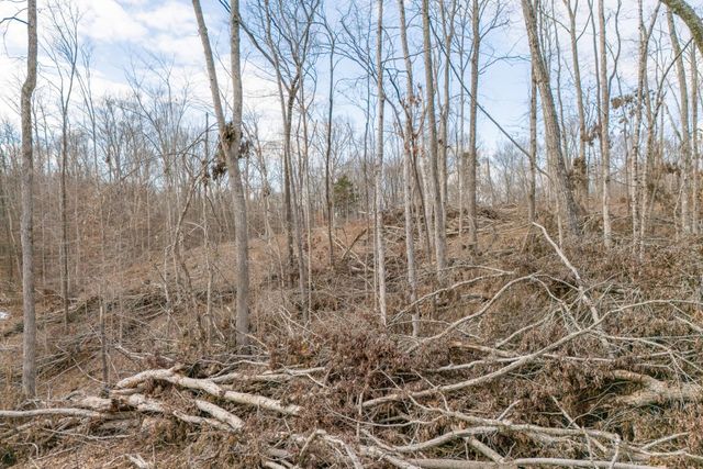 0 Hutchins Bend Rd, Sparta, TN 38583