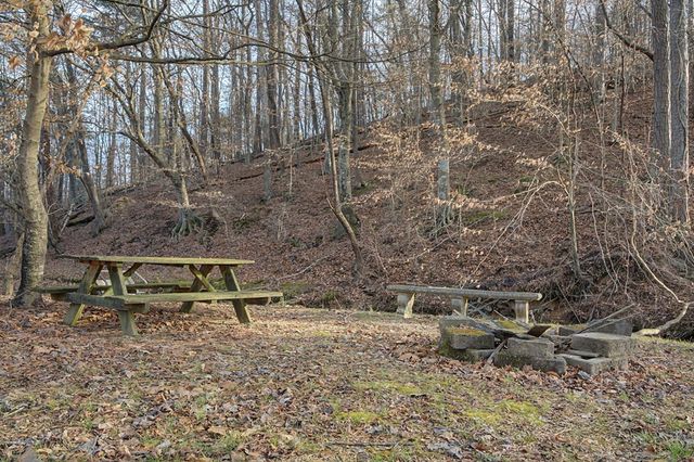 253 Wheeler Dam Road, Cohutta, GA 30710