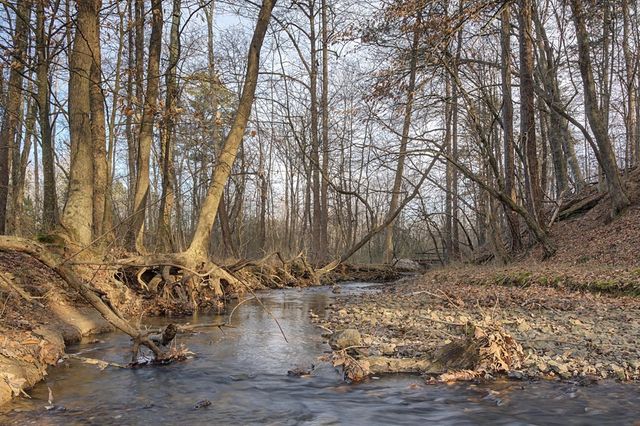 253 Wheeler Dam Road, Cohutta, GA 30710