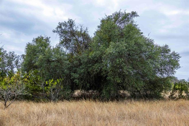 TBD County Road 200, Bertram, TX 78611