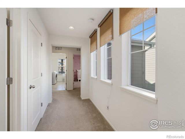 1896 Los Cabos Drive, Windsor, CO 80550