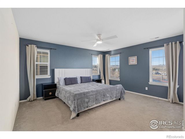 1896 Los Cabos Drive, Windsor, CO 80550