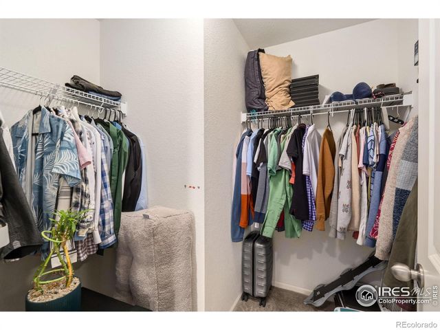 1896 Los Cabos Drive, Windsor, CO 80550