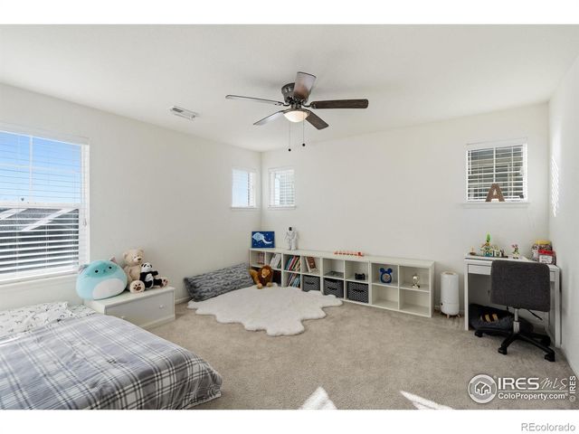 1896 Los Cabos Drive, Windsor, CO 80550