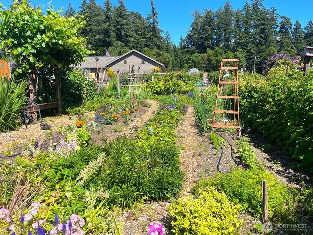 11215 Juniper Place, Anderson Island, WA 98303