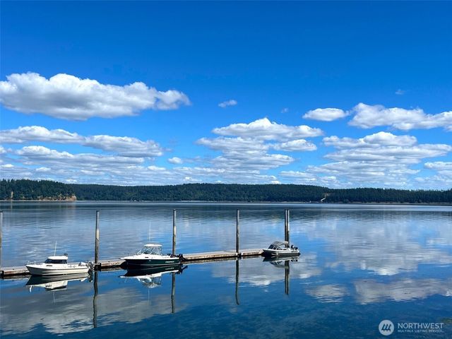 11215 Juniper Place, Anderson Island, WA 98303