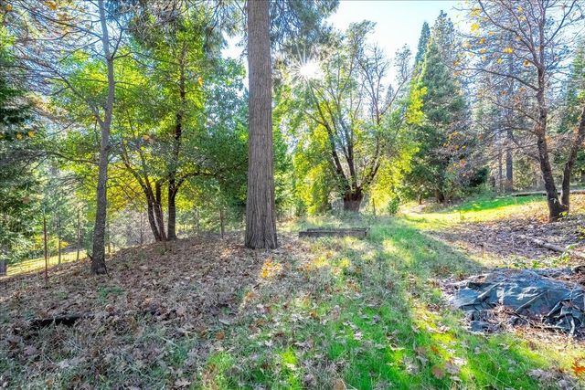 111 Alaska Peak, North San Juan, CA 95960