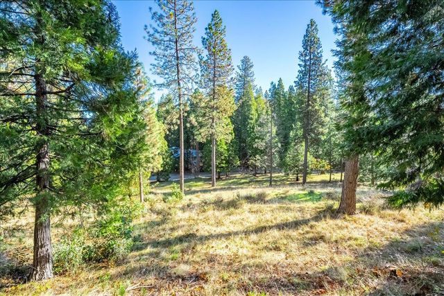 111 Alaska Peak, North San Juan, CA 95960