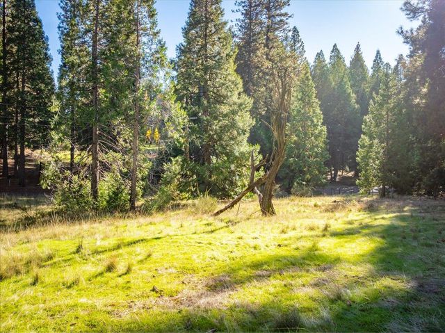 111 Alaska Peak, North San Juan, CA 95960