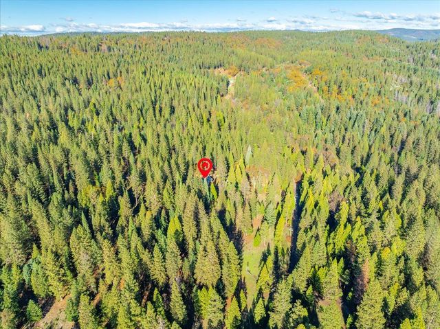 111 Alaska Peak, North San Juan, CA 95960