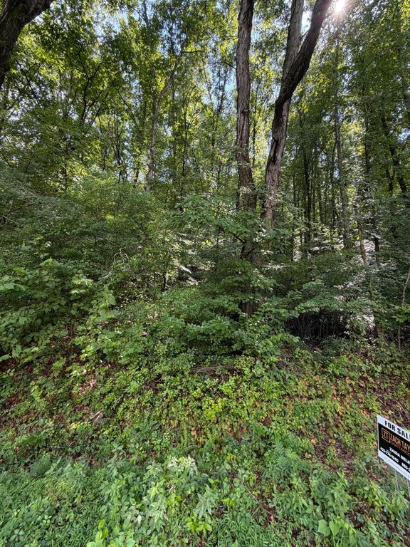 00 Salem Road, Rossville, GA 30741