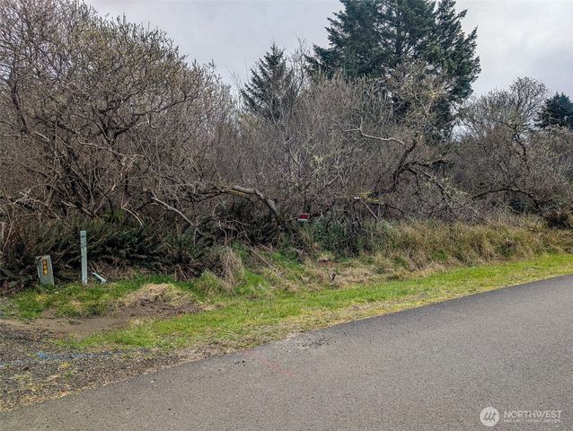 572 Puffin Avenue NE, Ocean Shores, WA 98569