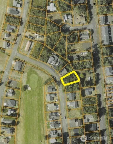 572 Puffin Avenue NE, Ocean Shores, WA 98569