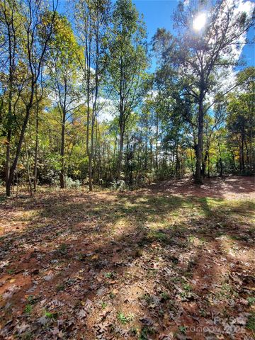118 Valley Springs Drive, Olin, NC 28660